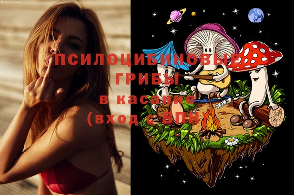 хмурый Алзамай