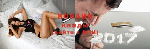 mix Ельня