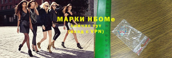 хмурый Алзамай