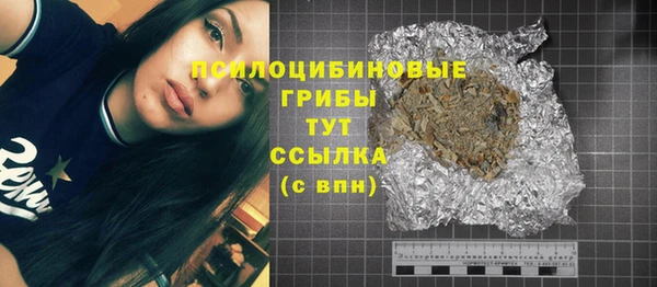 хмурый Алзамай