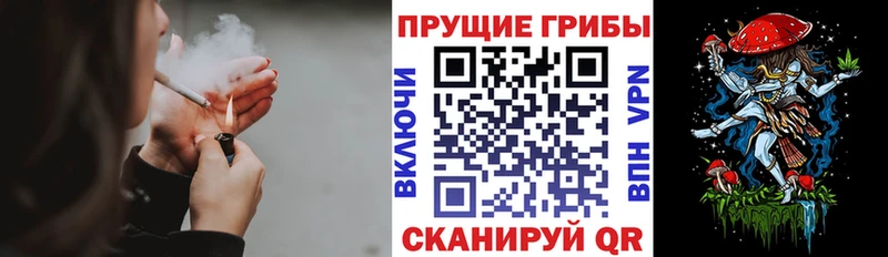 shop как зайти  Фёдоровский  Галлюциногенные грибы ЛСД 